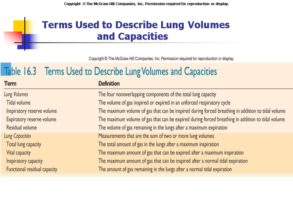Terms Used to Describe Lung Volumes and Capacities